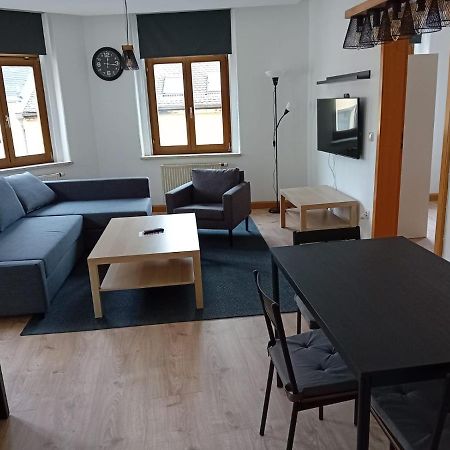 Zentral Und Ruhig In Auerbach Lägenhet Auerbach  Exteriör bild